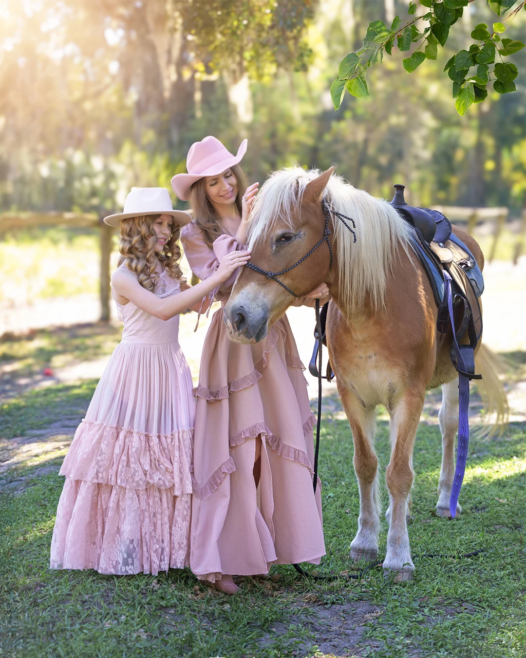 Horses Ocala — photograph 10 by Irina Chernousova