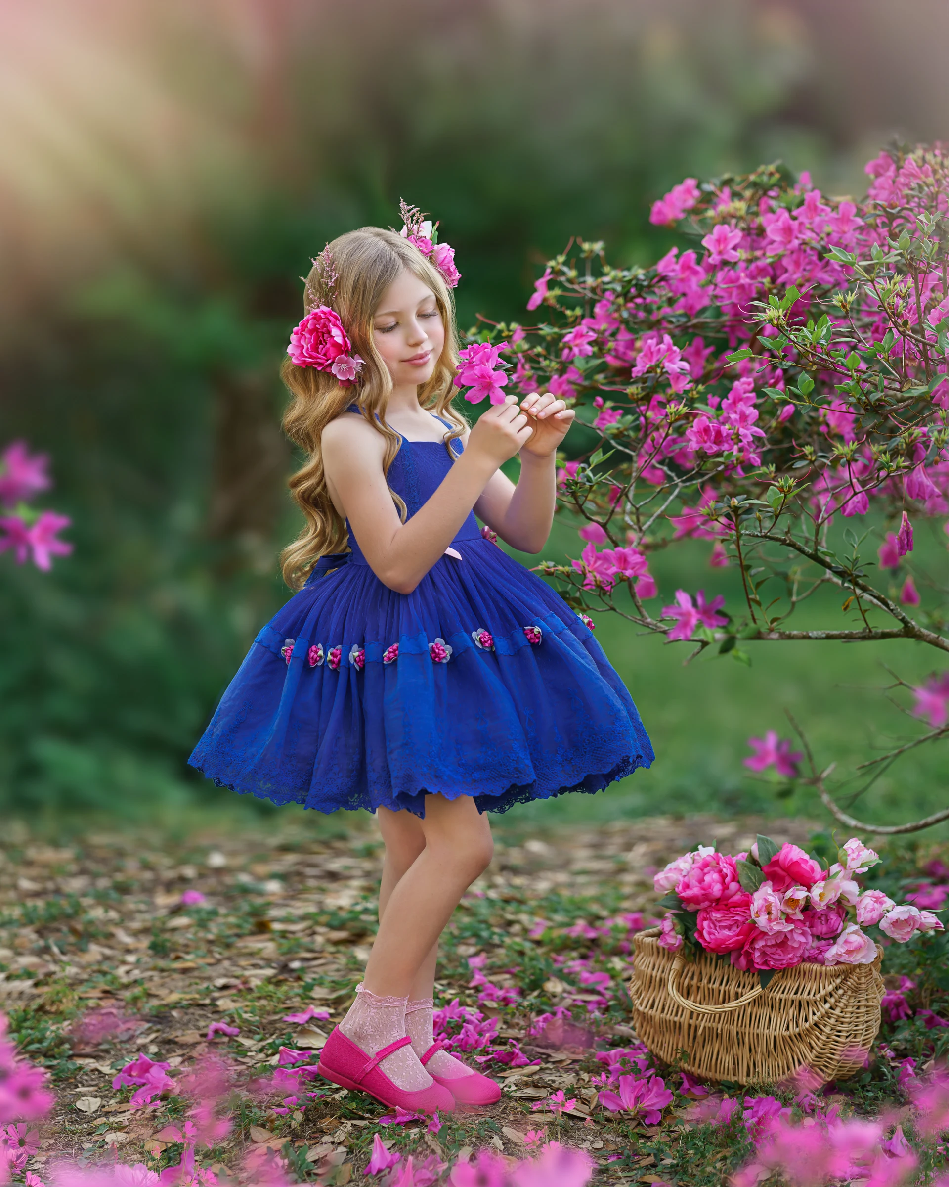Royal Blue Golly Gosh — photograph 6 by Irina Chernousova