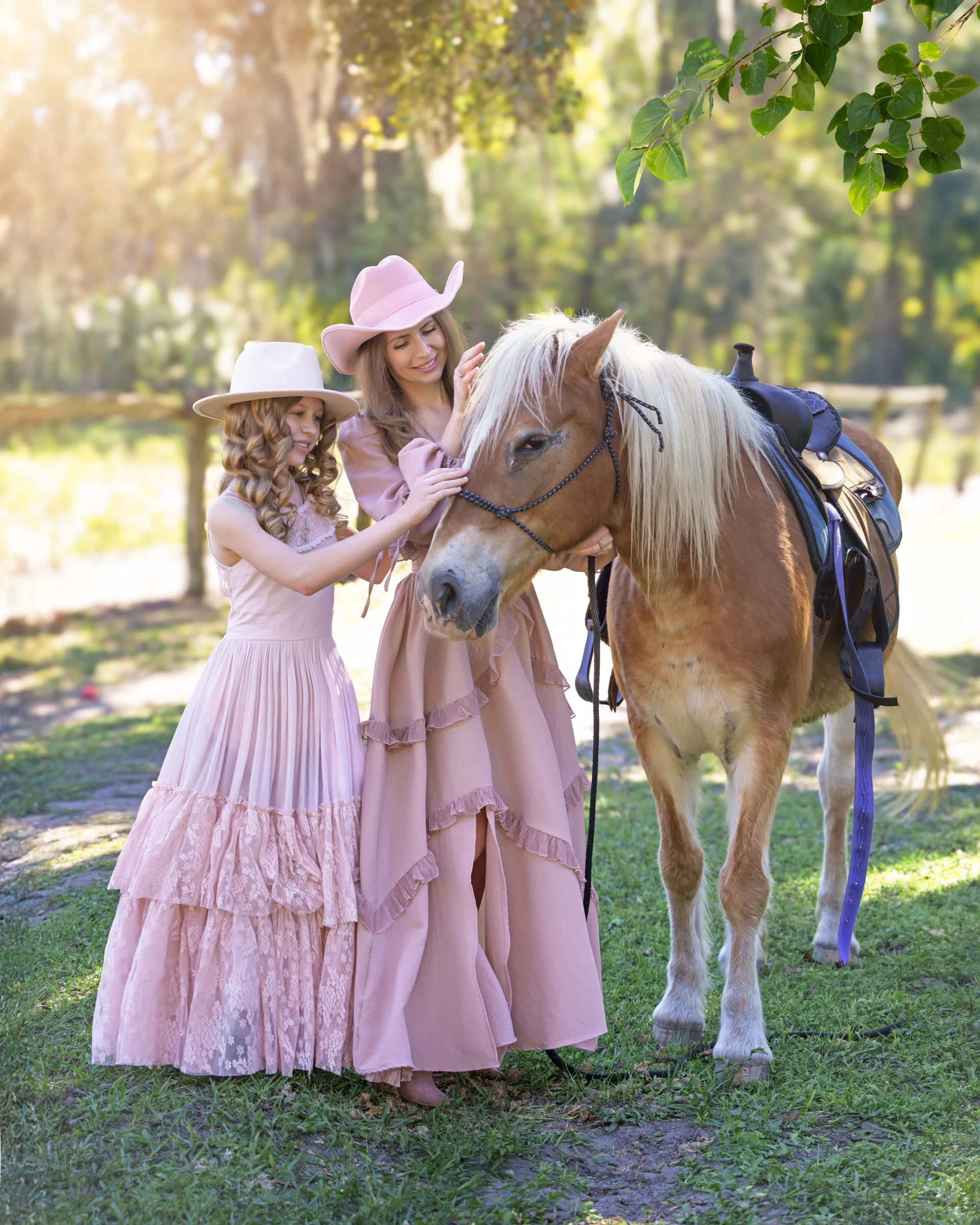 Horses Ocala — photograph 5 by Irina Chernousova