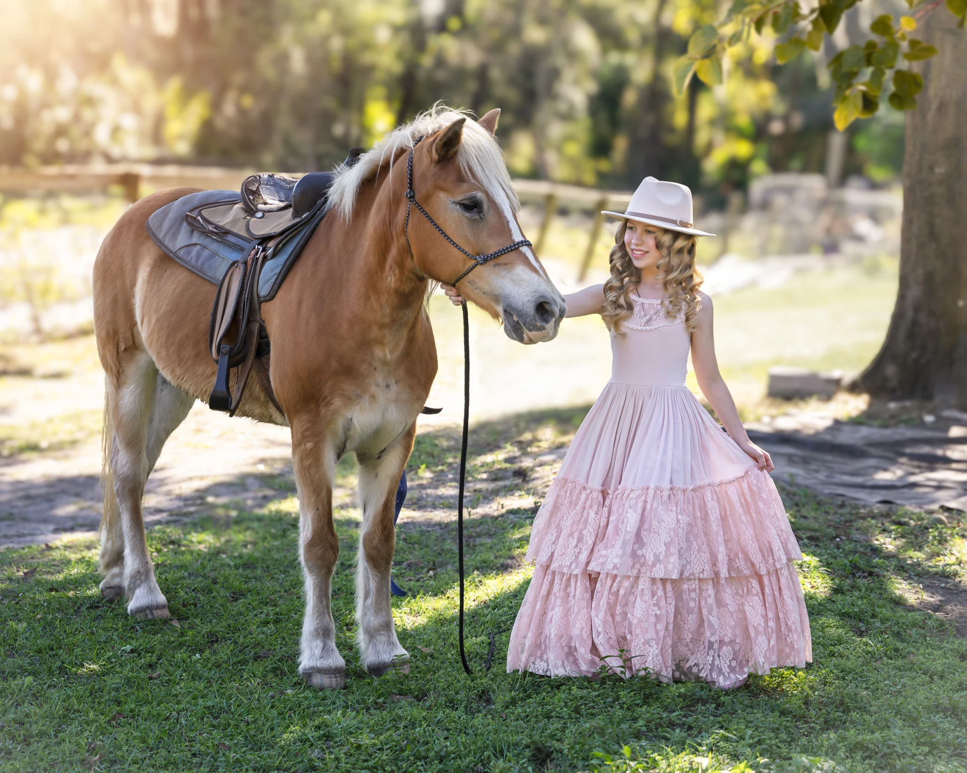 Horses Ocala — photograph 1 by Irina Chernousova